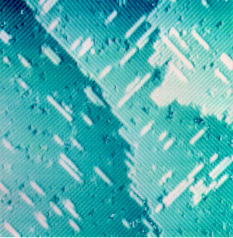 Surface of silicon as imaged by a STM