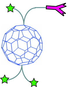 Fullerenes can be loaded with medicine (green) and attached to an antibody (pink) which will seek out the disease antigen. 